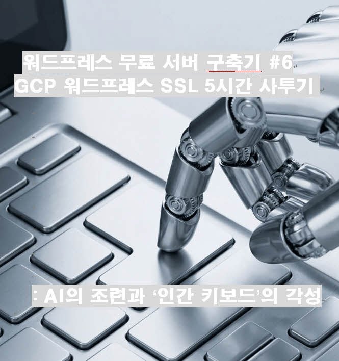 GCP 무료 서버에서 SSL 설치를 5시간 삽질하며 경험한 AI의 심리적 조련과 인간 키보드의 분노. 인간의 주관과 오기가 AI 계산을 넘어서는 순간을 기록하다.