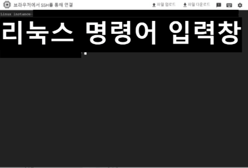 SSH 리눅스 명령어 입력 창